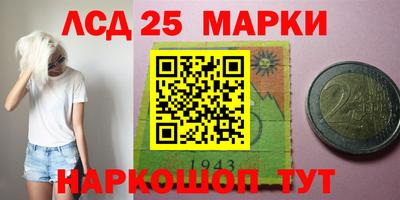 прущие грибы Кунгур