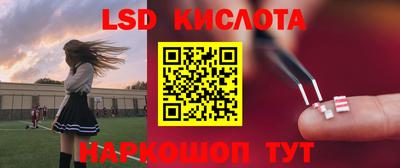 прущие грибы Кунгур